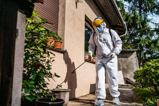 Best Affordable Pest Control Services  in Staples, CT