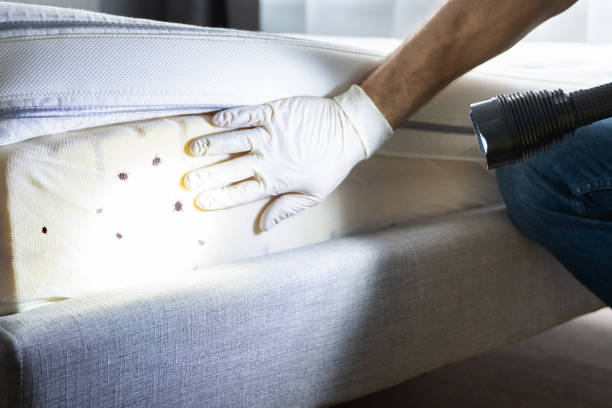 Best Pest Prevention Services  in Staples, CT
