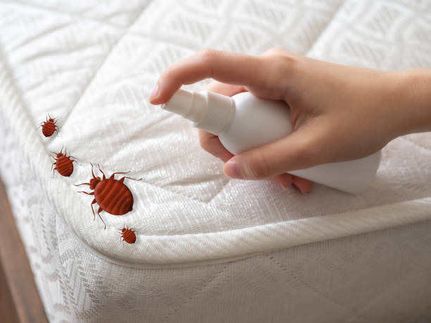 Best Mosquito Control Services  in Staples, CT