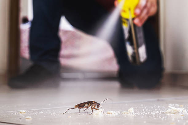 Best Pest Control for Businesses  in Staples, CT