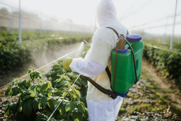 Best Pest Control Near Me  in Staples, CT
